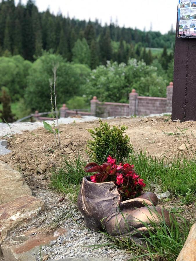 Шервуд Apartman Mita Kültér fotó