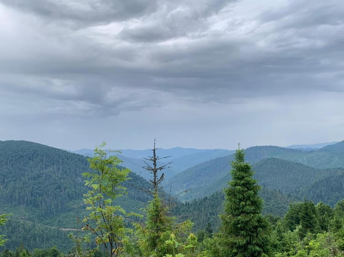 Шервуд Apartman Mita Kültér fotó
