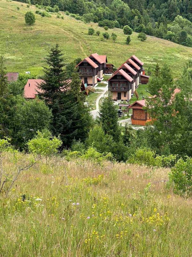 Шервуд Apartman Mita Kültér fotó