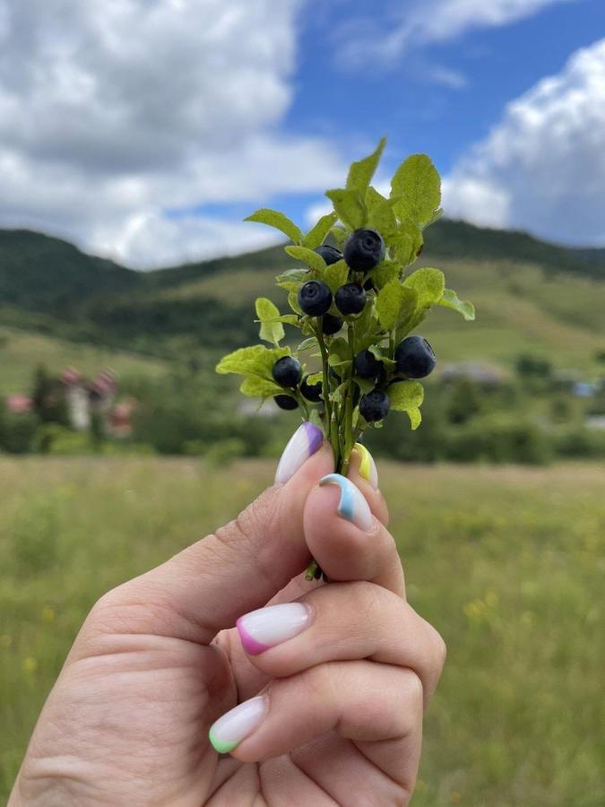 Шервуд Apartman Mita Kültér fotó