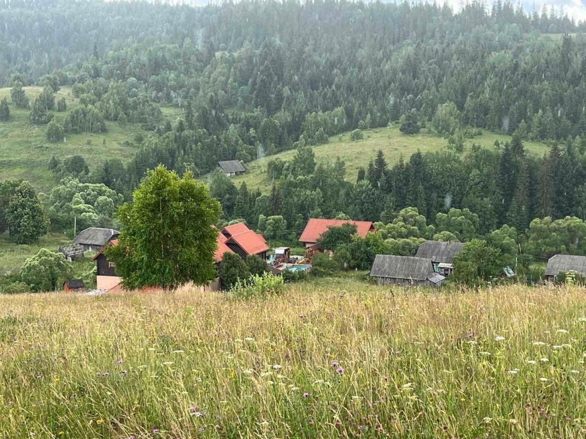 Шервуд Apartman Mita Kültér fotó