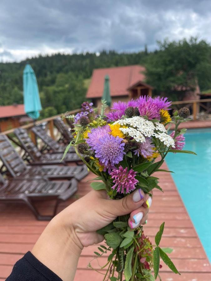 Шервуд Apartman Mita Kültér fotó
